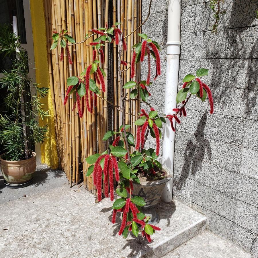 Pousada Maraki Maceió Exteriör bild